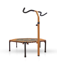 item_10277.240 Batyt dlya doma - kypit batyt dlya doma v Moskve v internet-magazine «VELOSTANOK» batyt dlya doma Батут Hasttings J-Short