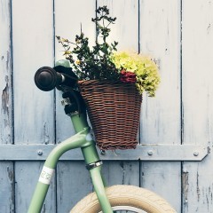 Беговел Puky LR XL Classic 4067 retro grееn зеленый