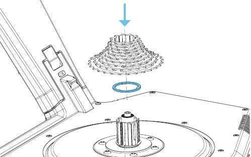 Проставочное кольцо Edco для кассеты 0,2мм