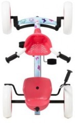 Веломобиль BERG Buzzy Bloom 2-in-1 