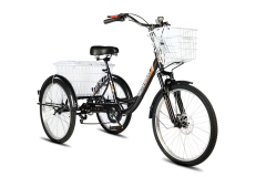 Велосипед трехколесный для взрослых РВЗ Чемпион 24" 6 скоростей Черный