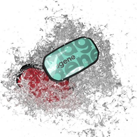 Нагрудный пульсометр Magene H603 (кардиомонитор) голубой