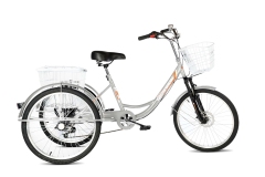 Велосипед трехколесный для взрослых РВЗ Чемпион 24" 6 скоростей Серебристый