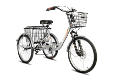 Велосипед трехколесный для взрослых РВЗ Чемпион 24" 6 скоростей Серебристый