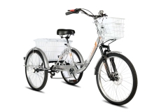 Велосипед трехколесный складной для взрослых РВЗ Чемпион 24" 6 скоростей Серебро