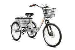 Велосипед трехколесный складной для взрослых РВЗ Чемпион 24" 6 скоростей Серебро