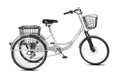 Велосипед трехколесный складной для взрослых РВЗ Чемпион 24" 6 скоростей Серебро